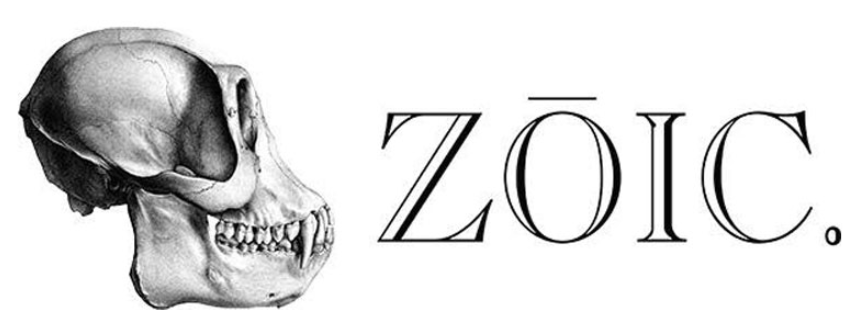 https://www.milovfx.com/wp-content/uploads/2025/01/zoic-e1736461829881-858x333.png